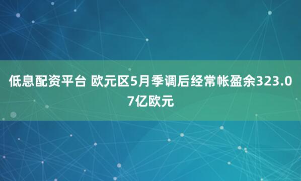 低息配资平台 欧元区5月季调后经常帐盈余323.07亿欧元