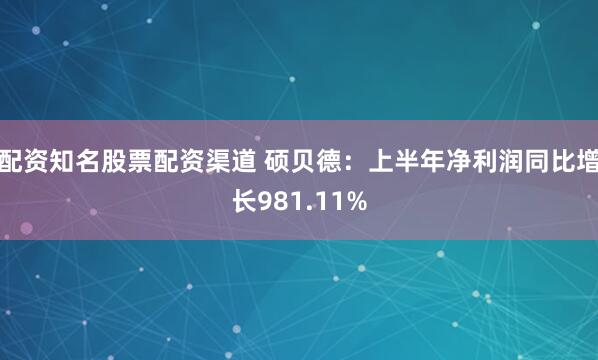 配资知名股票配资渠道 硕贝德：上半年净利润同比增长981.11%