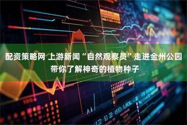 配资策略网 上游新闻“自然观察员”走进金州公园 带你了解神奇的植物种子