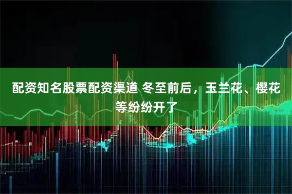 配资知名股票配资渠道 冬至前后，玉兰花、樱花等纷纷开了