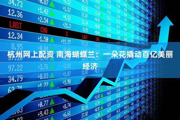 杭州网上配资 南海蝴蝶兰：一朵花撬动百亿美丽经济